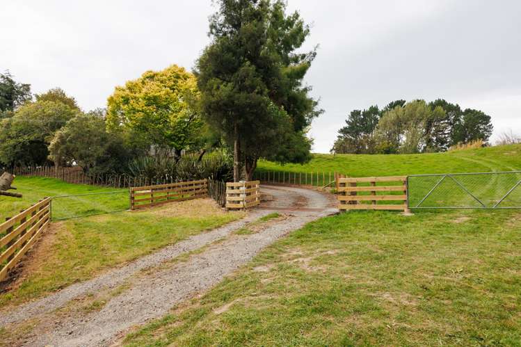 815 Reid Line East_3