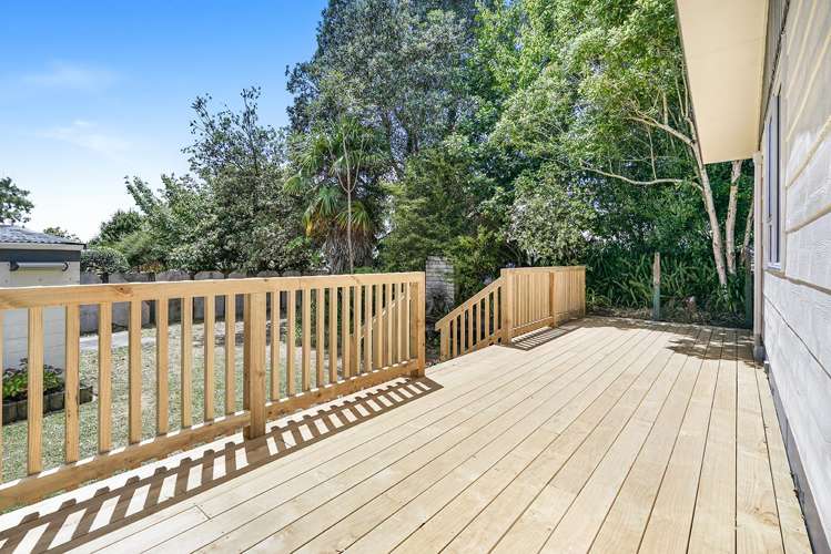 83 Peacockes Road Fitzroy_10