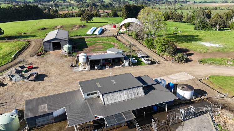 664 Te Pua Road Kaikohe_6