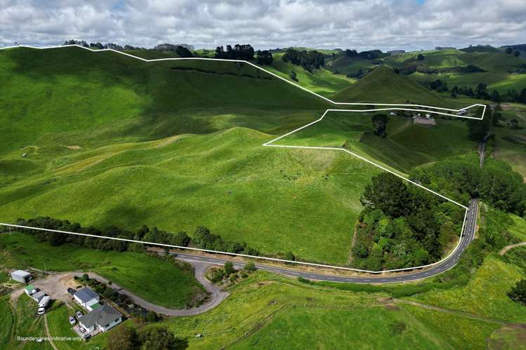 1911 Tutukau Road Wairakei and Surrounds_3