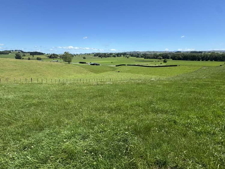 Lot 4 Pokuru Road Rd 3 Te Awamutu_2