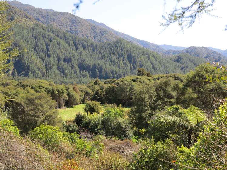 512 Hamama Road Takaka_8