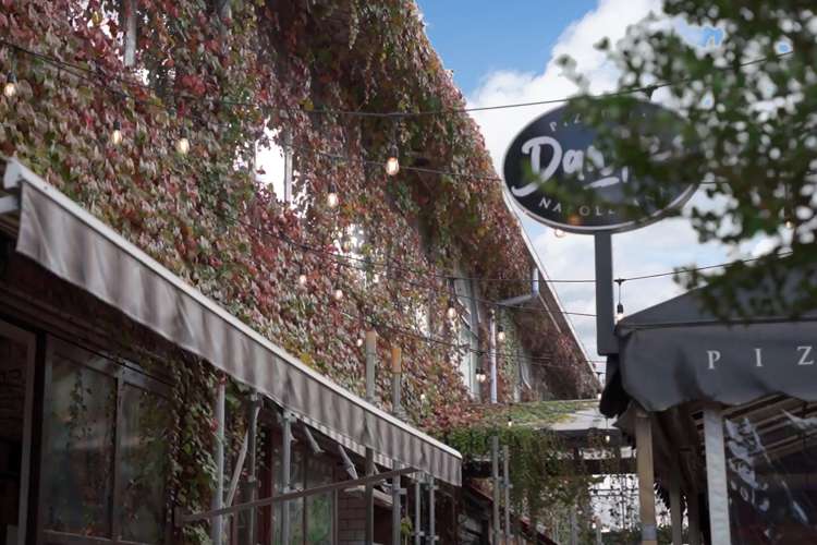 403/11 Vinegar Lane Grey Lynn_19