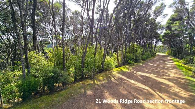 Affordable Kawau Island Section- Only $325K!