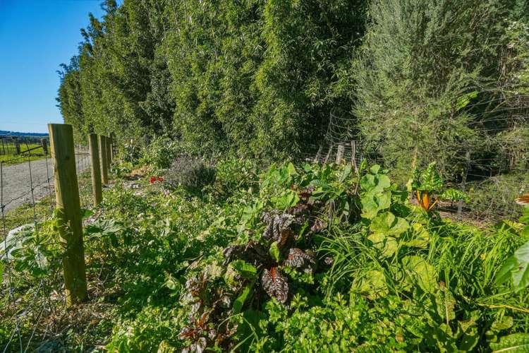 29 Dodds Road Kaitaia_26