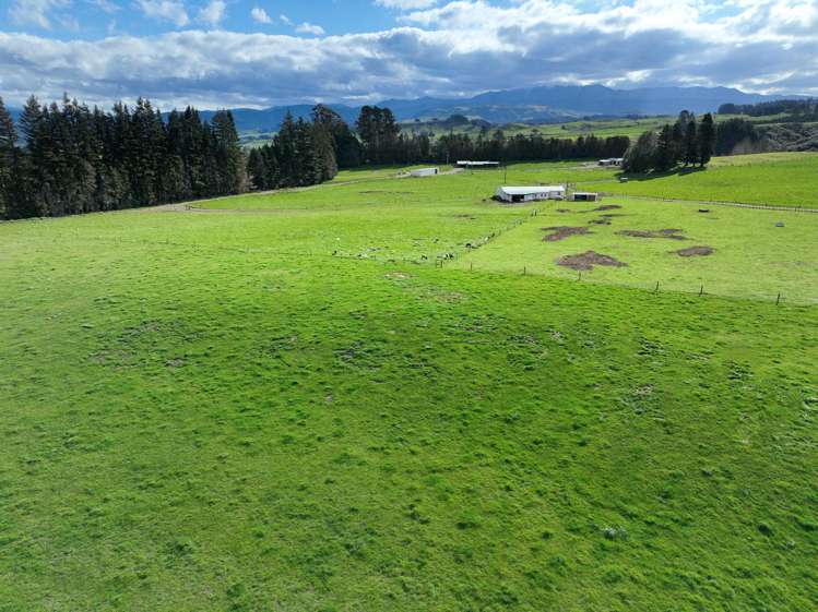 3986 Puketitiri Road Patoka_17