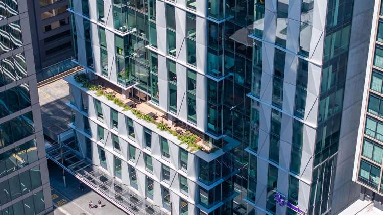 50 Albert Street Auckland Central_11