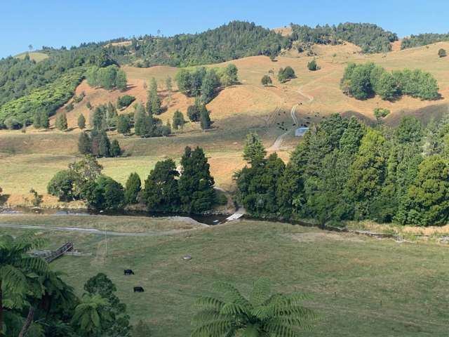 249 Franklin Road Waihi_1