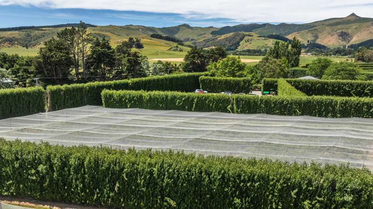 40 Rhodes Road Tai Tapu_21