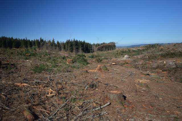 423 Hayland Road Okuku_4