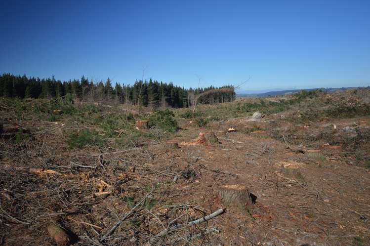 423 Hayland Road Okuku_4