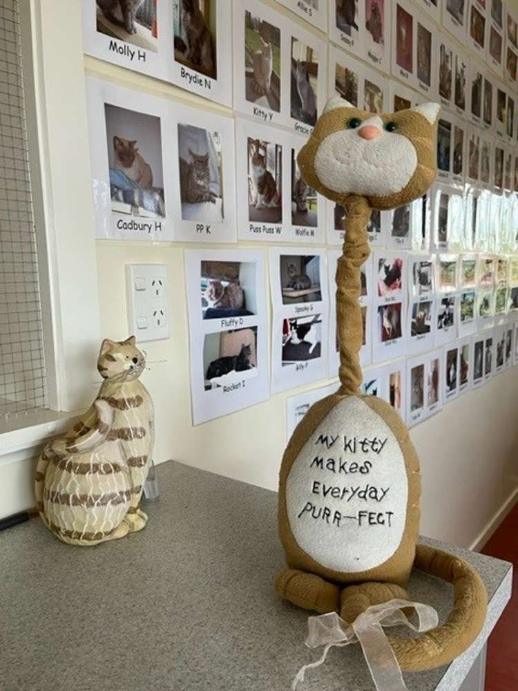 10 Constitution Avenue Milton_27