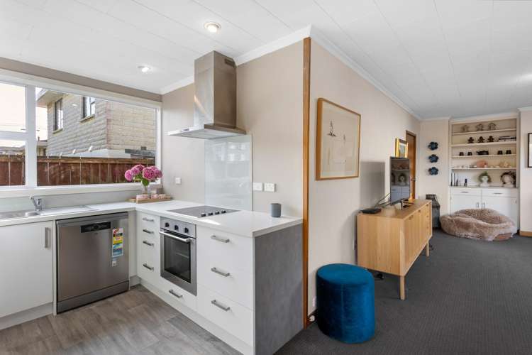 120 Hargest Crescent St Clair_11