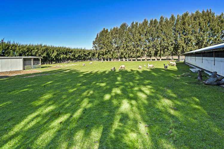 25 Stock Road Pakipaki_20