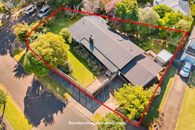 Large Section on Pivotal Corner