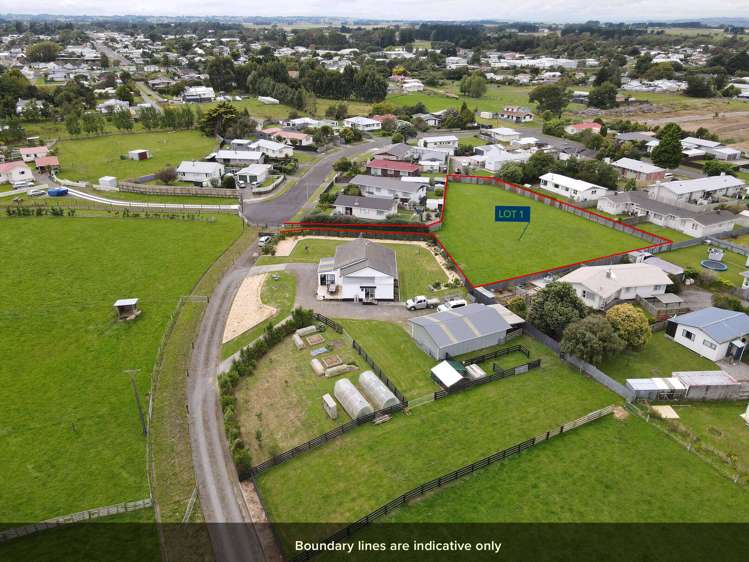 56b Hendersons Line Marton_6