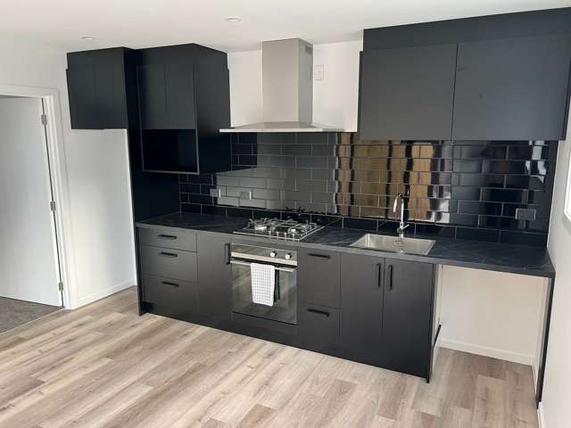 Brand new private unit for rent
