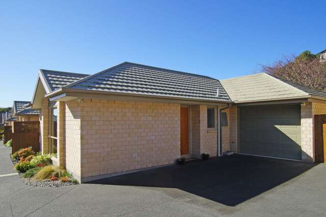 19e Aratoro Place Mount Pleasant_1