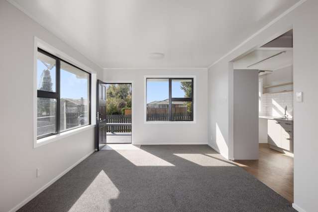 10a George Street Te Puke_1