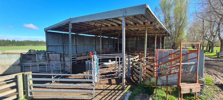 526 Turnbull Road Gore Surrounds_7