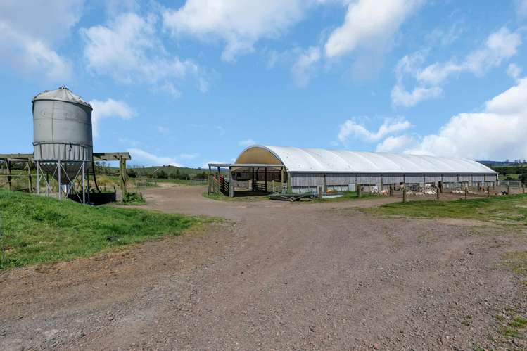 Knight Road Ruatangata_12