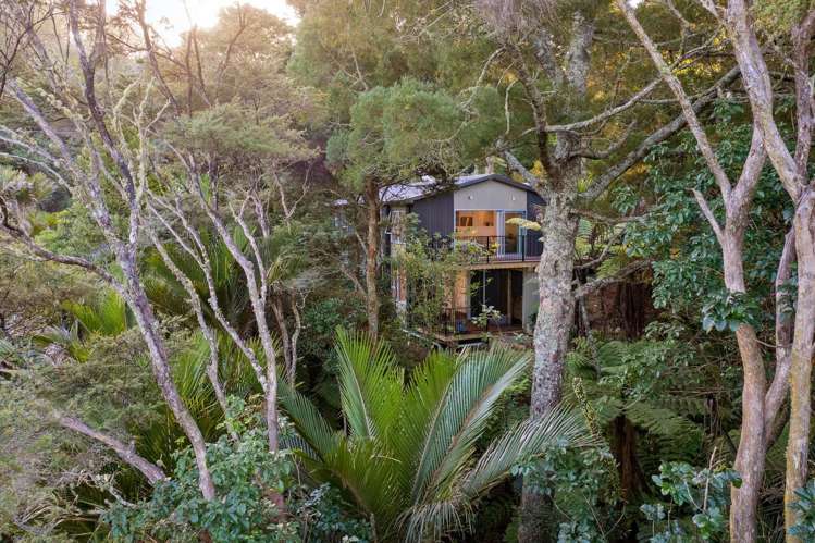 58 Laingholm Drive Laingholm_13