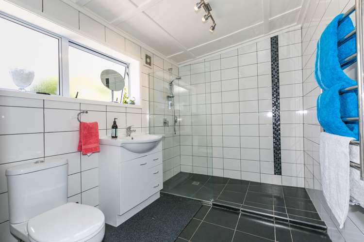 52 Mcdonald Street Napier South_12