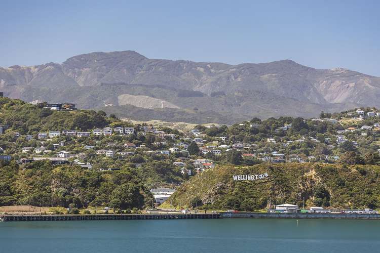 28 Belvedere Road Hataitai_15