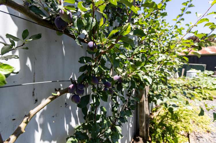 33 Aorangi Road Paeroa_18