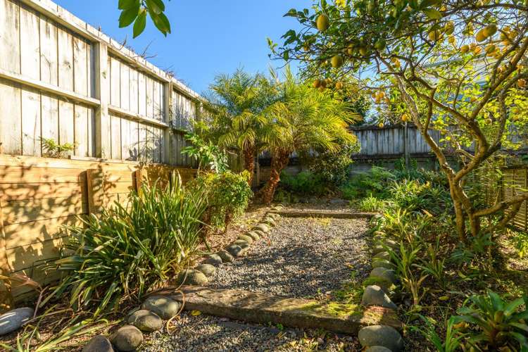 3 Harlech Glen Bethlehem_18