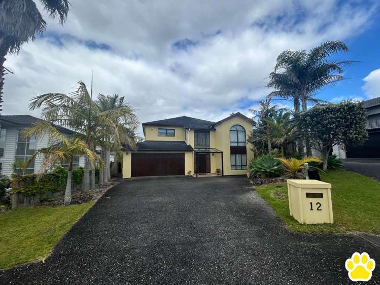 12 Errigal Close Pinehill_0