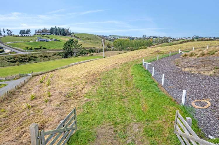 Pukeko Lane Weston_11
