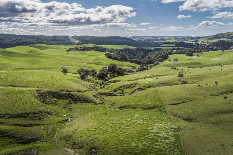 2152 Puketitiri Road Central Hawkes Bay Coastal_24