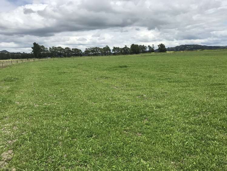 112 Mountain View Road Hikurangi_6