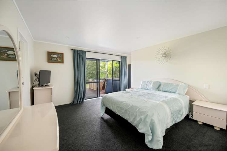 222 Guppy Road Taradale_13