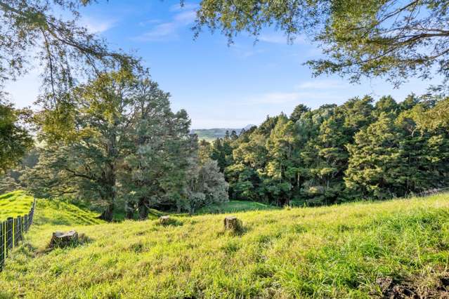 389A Crane Road Kauri_3