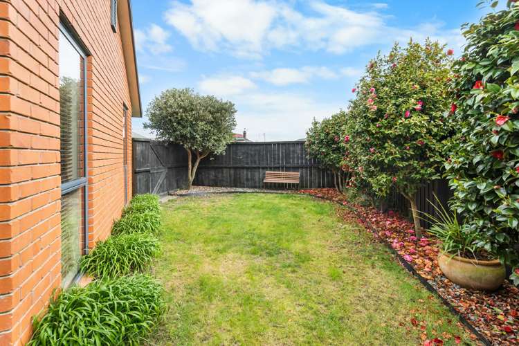 54 Limes Avenue Parklands_14