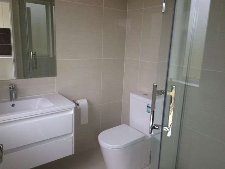 19 Fong Road Flat Bush_14