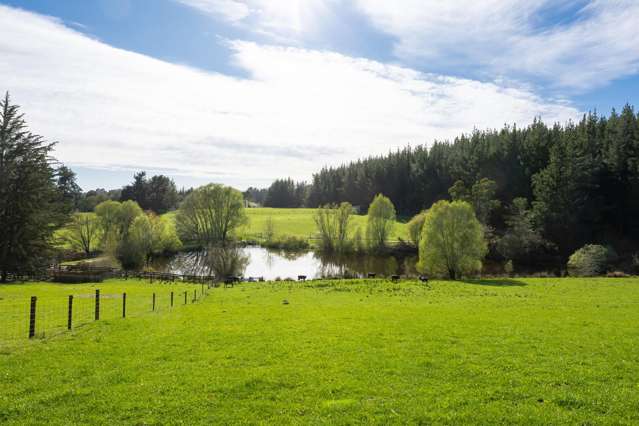 240 George Harvey Road Upper Moutere_1