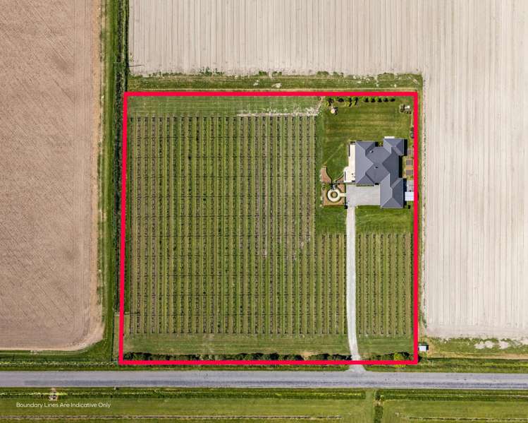 203 Vickerman Street Blenheim_24