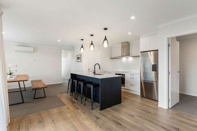 2 Routeburn Lane Karaka_1