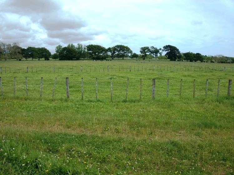 30 Kimberley Road Levin_6