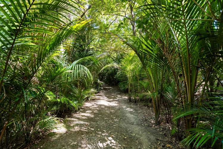 730A South Titirangi Road Titirangi_23