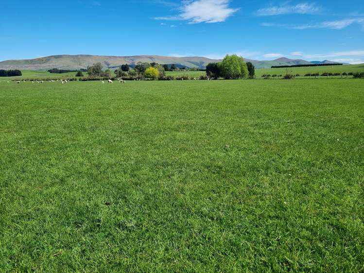 199 Moa Hill Road Clinton and Surrounds_13