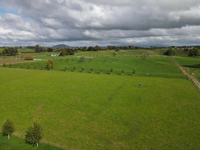 105 Chamberlain Road Te Awamutu_2