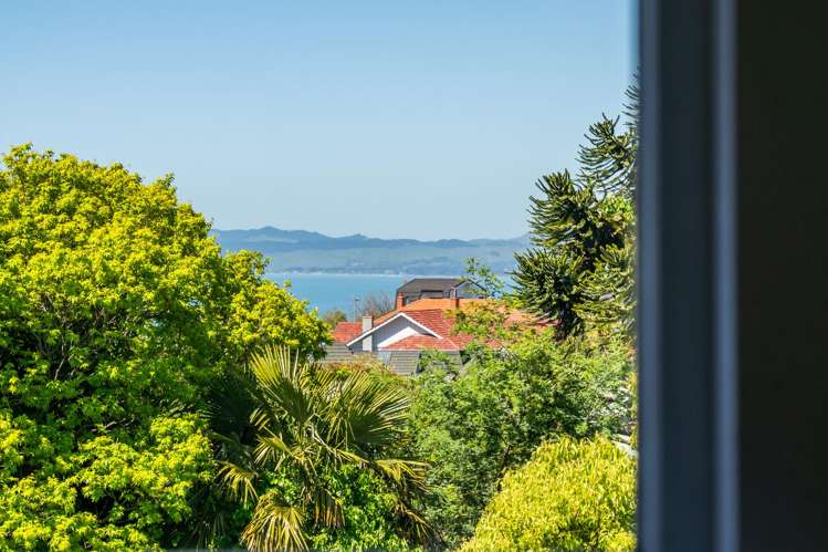 14 Lincoln Road Bluff Hill_21