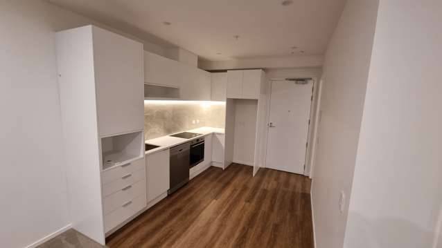 106/1817B Great North Road Avondale_4