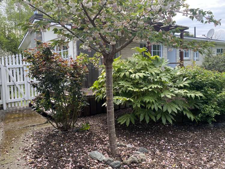 14 Papawai Road Greytown_20