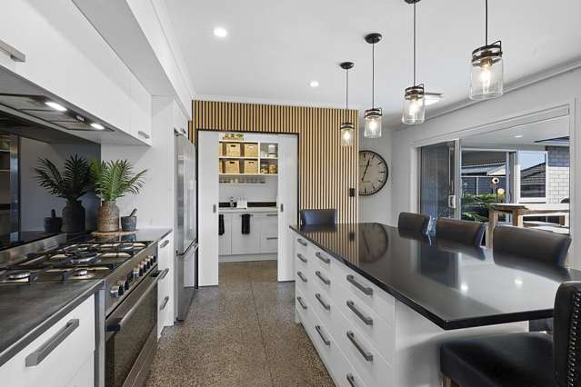 58d Karamea Street Whalers Gate_4