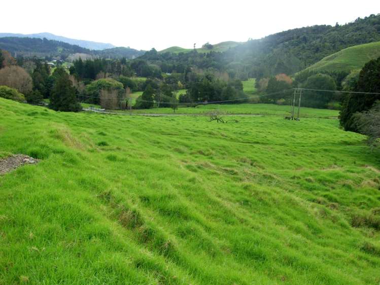 185 Takahue Saddle Road Takahue_0